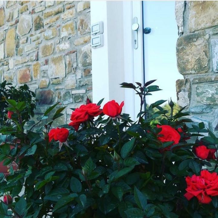 B&B Il Sogno Santa Maria di Castellabate Exterior photo